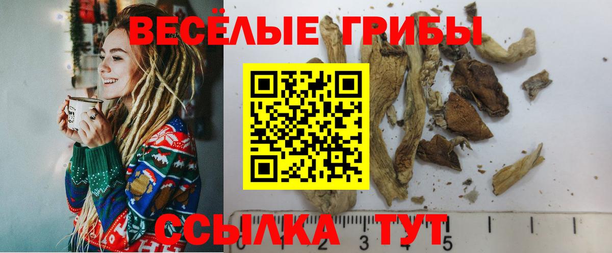 Псилоцибиновые грибы прущие грибы  Галлюциногенные грибы Psilocybe  Еманжелинск  Вход с VPN 